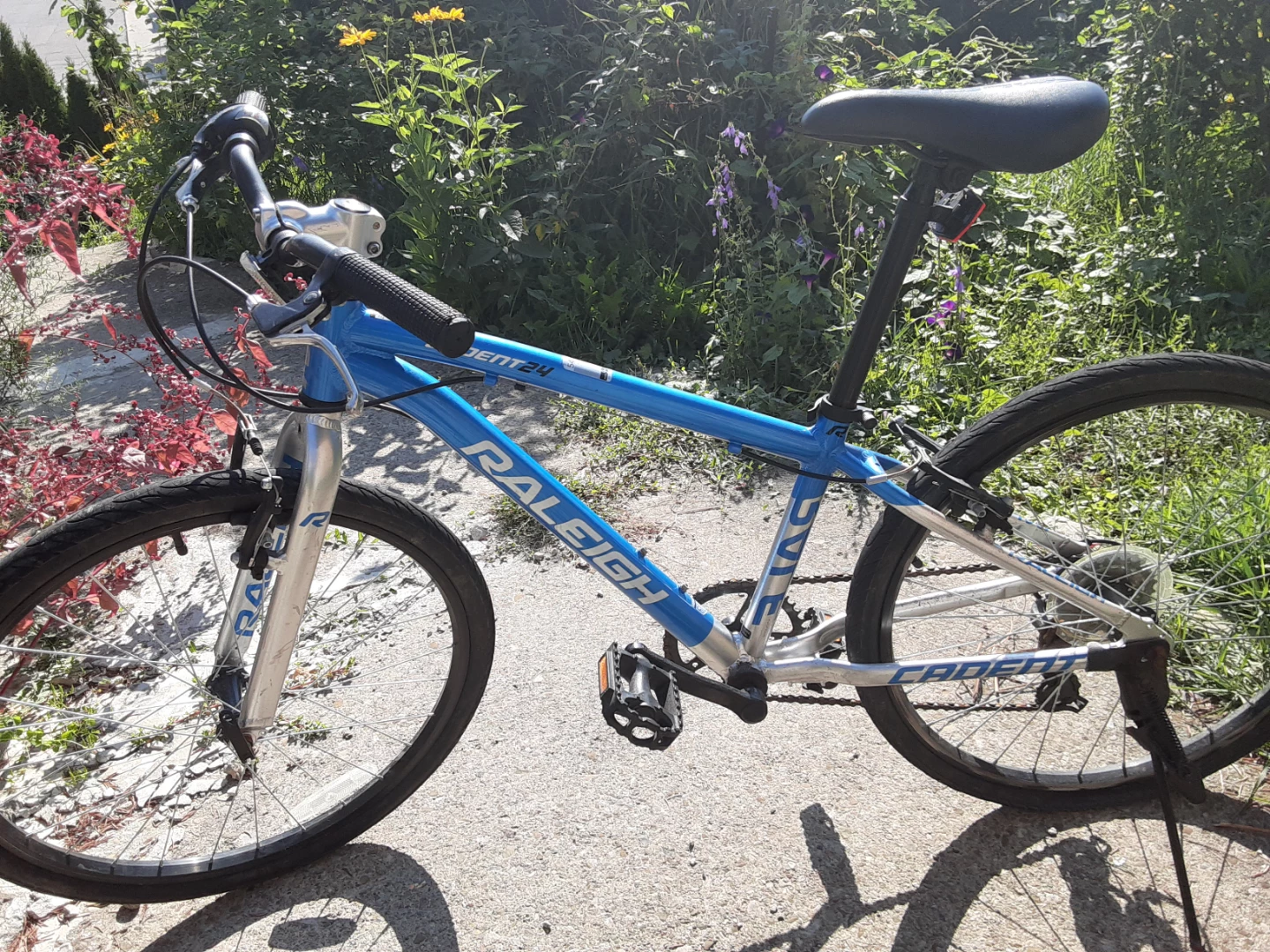 Raleigh Cadet 24" Kids Bike