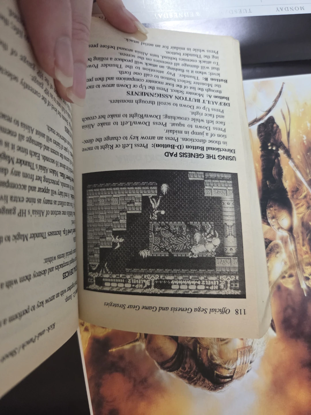 Official Sega Genesis & Game Gear Strategies Book - photo 5