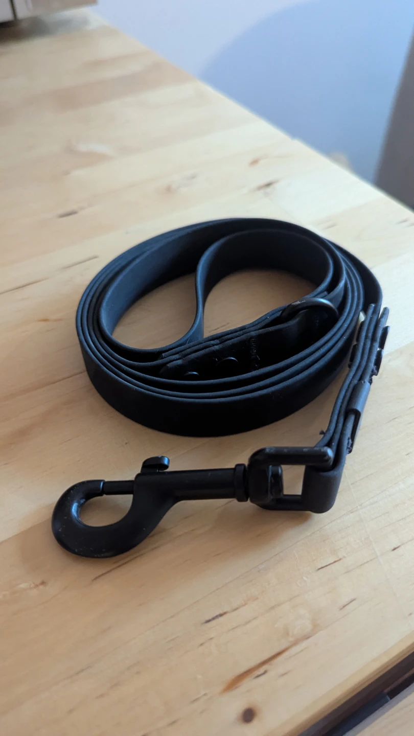 RC Pets Black Waterproof Dog Leash - photo 2
