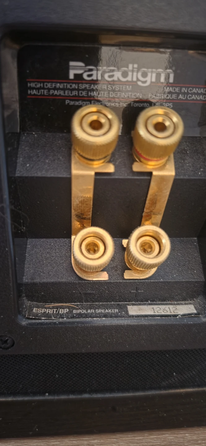 Vintage Rare Esprit BP Towers & PDR-10 Powered Subwoofer - photo 3