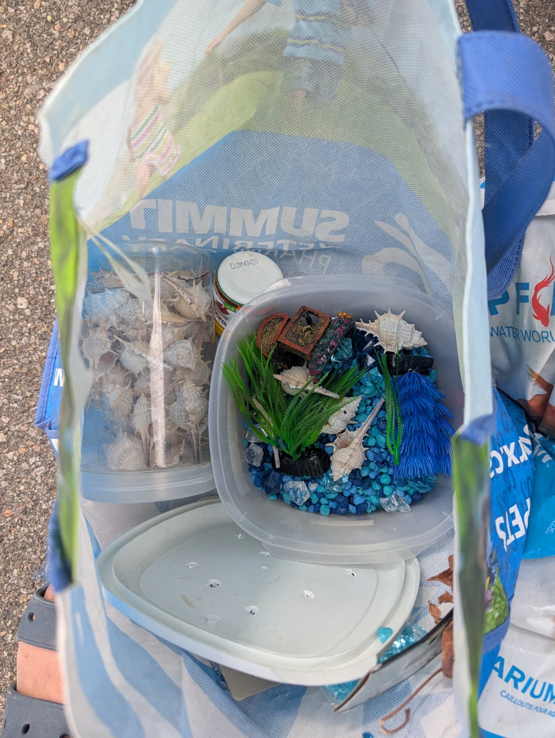 Aquarium Tank with Gravel and Decorations - photo 5