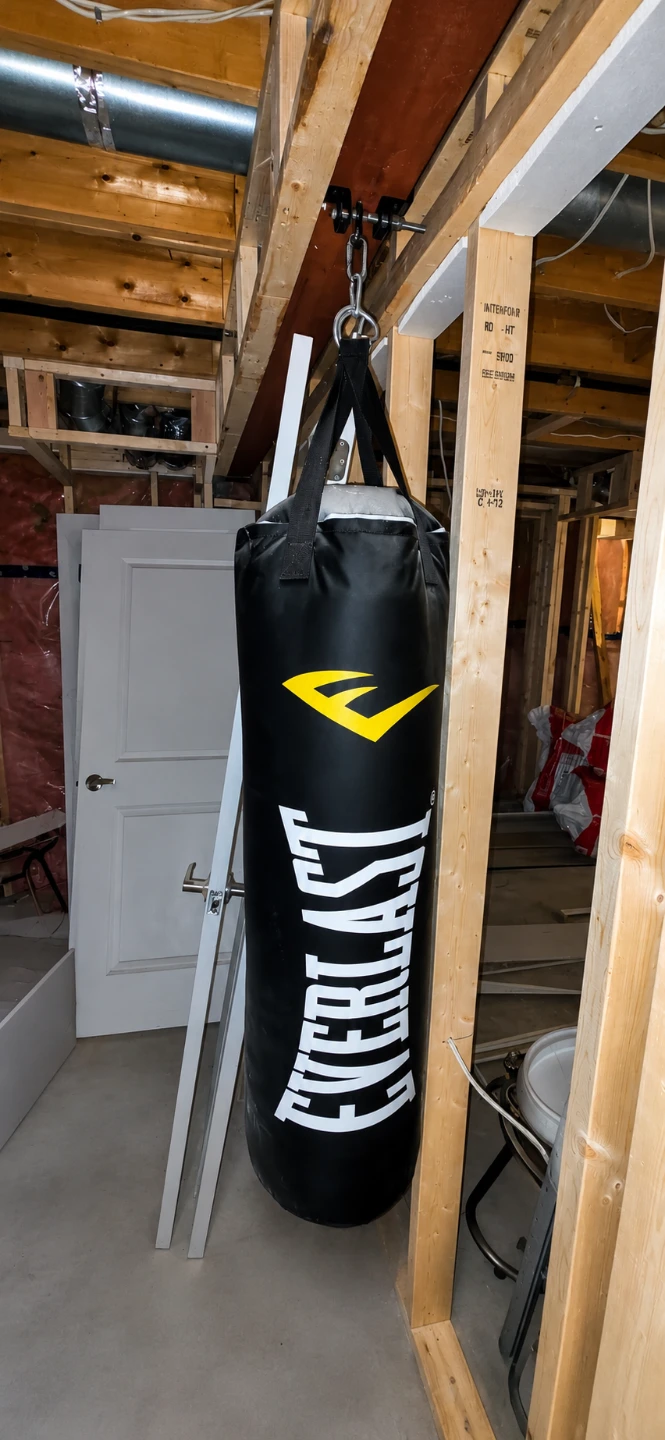 Everlast Punching Bag with mount accessories
