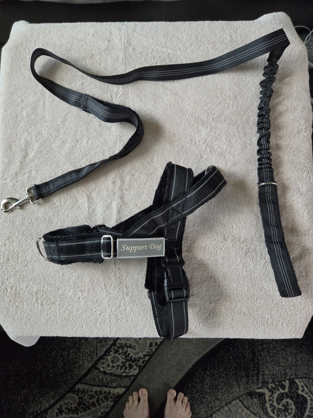 BRAND NEW Harness and leash set