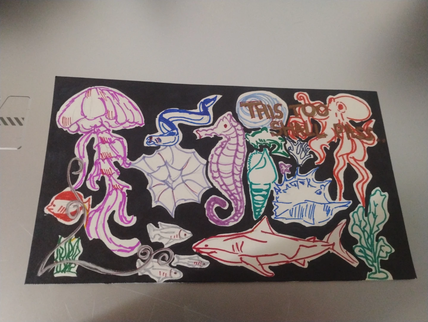 Drawing ( please see description)!