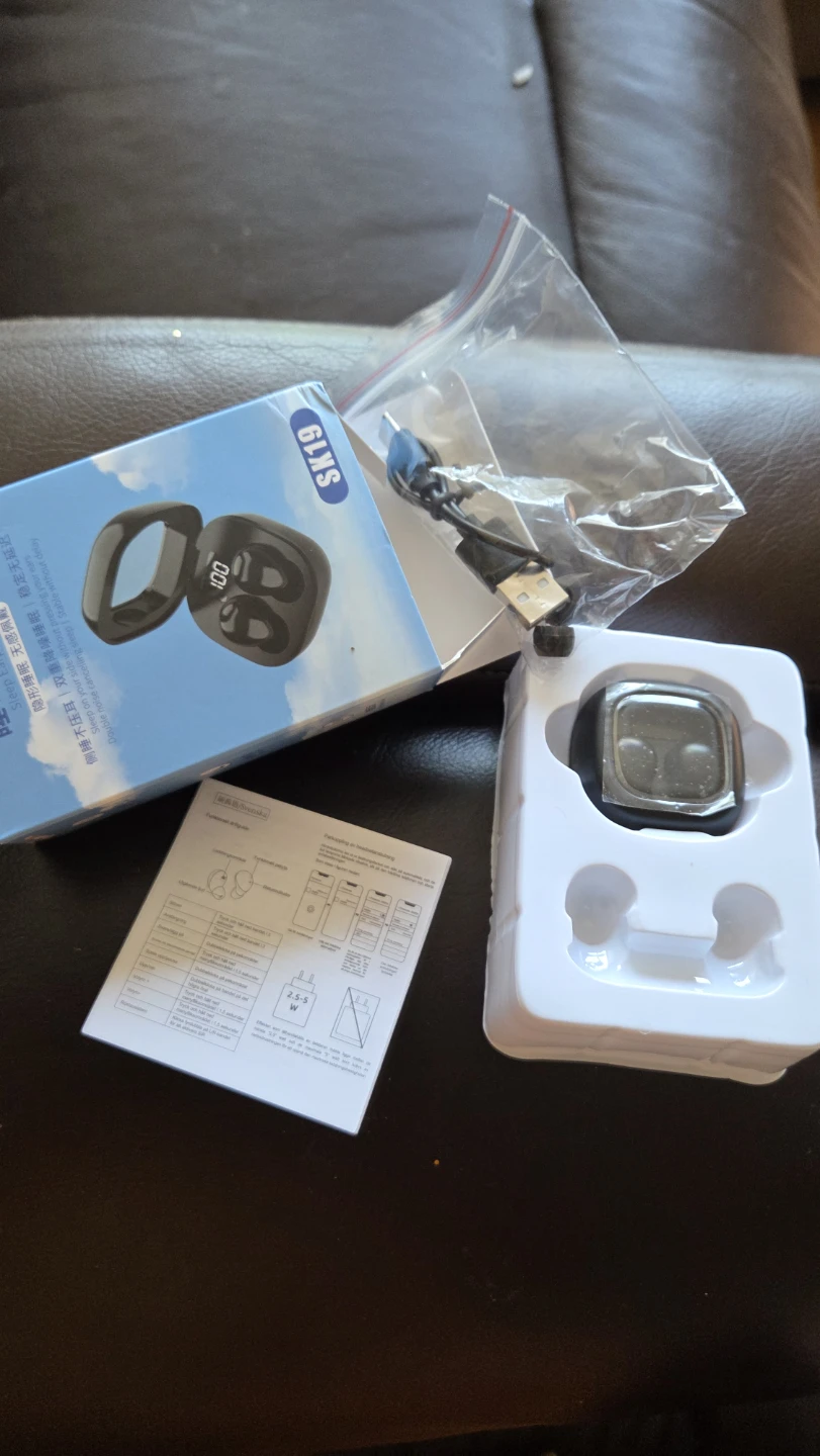 SK19 True Wireless Earbuds with Charging Case
