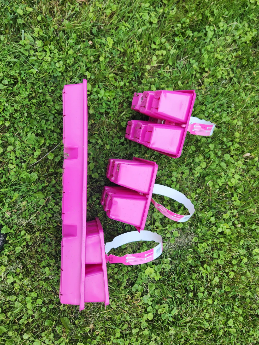 Free Seedling Trays - photo 3