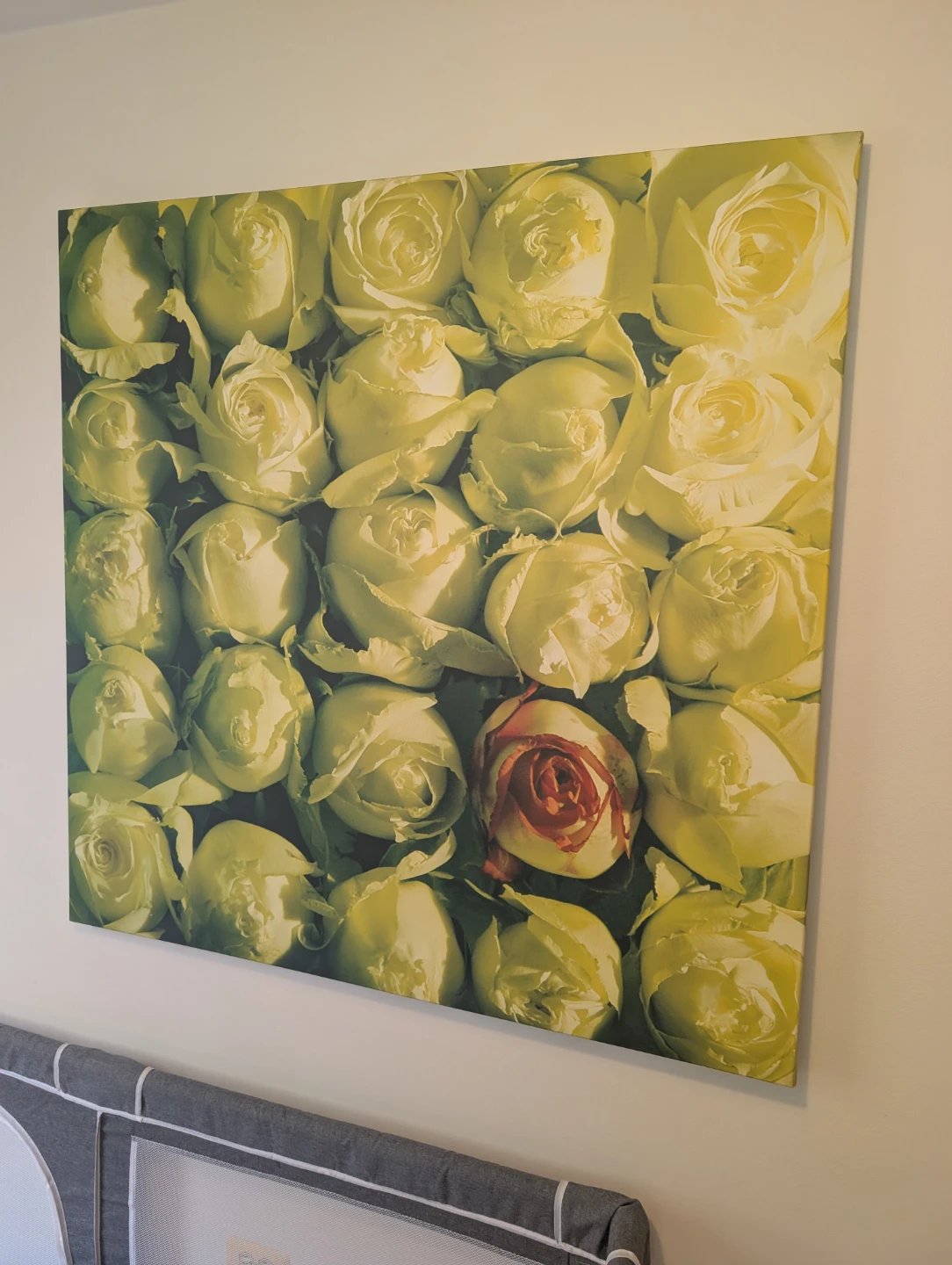 Large rose canvas