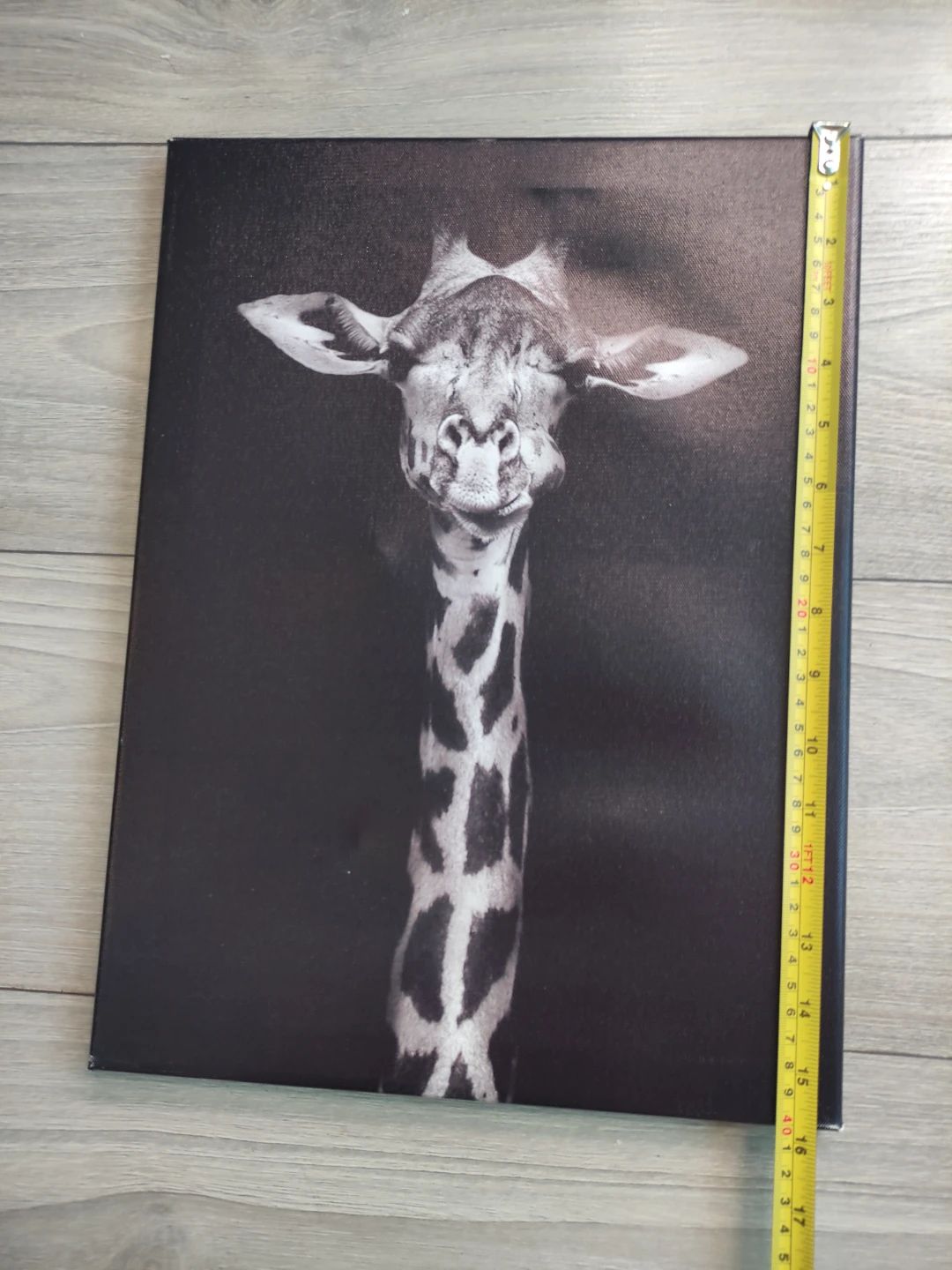 Black and White Giraffe Canvas Print Wall Art #free - photo 2