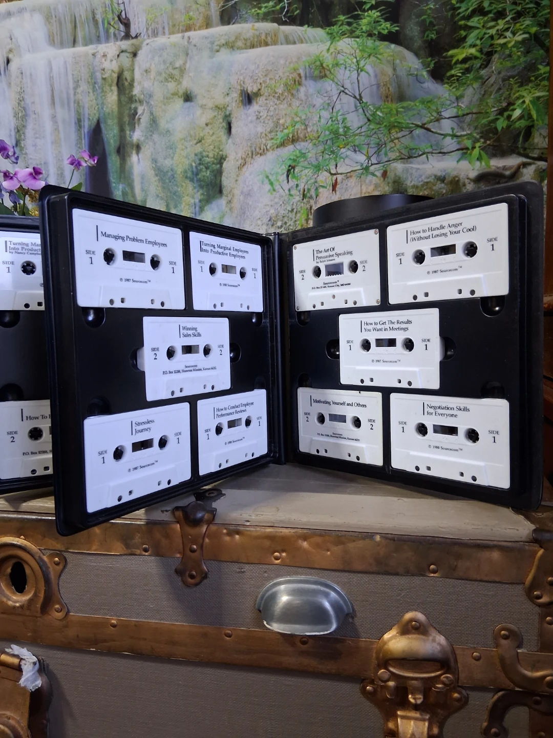 Sourcecom Success Essentials Business Audio Cassette Collection - photo 4