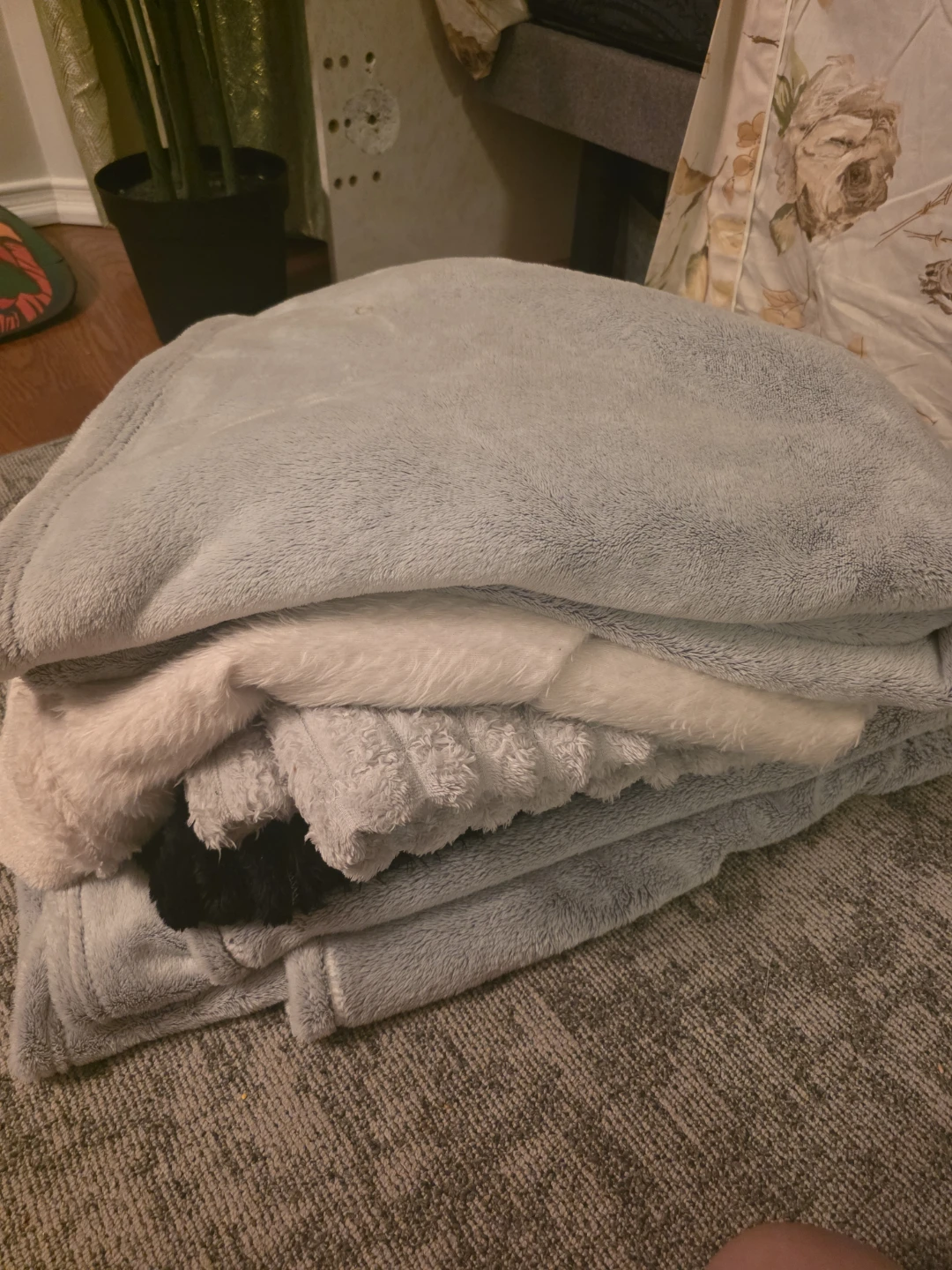Bundle of Soft Throws