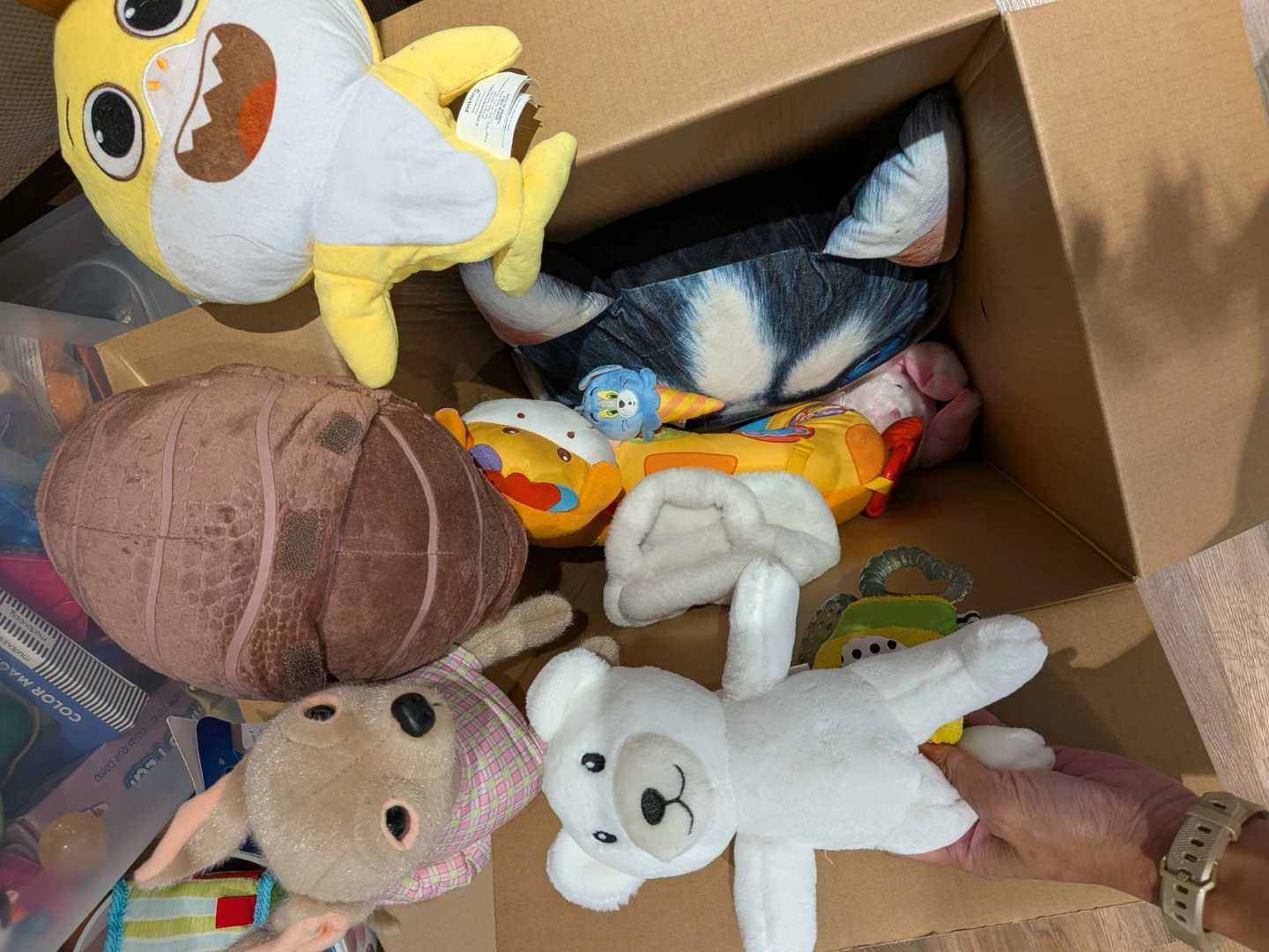 Plush Toys Bundle