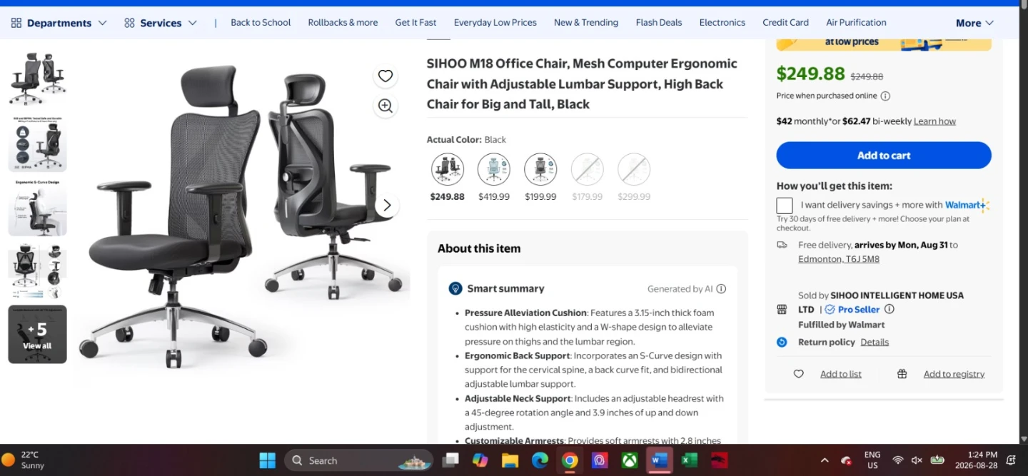 Computer Ergonomic Chair with Adjustable Lumbar Support