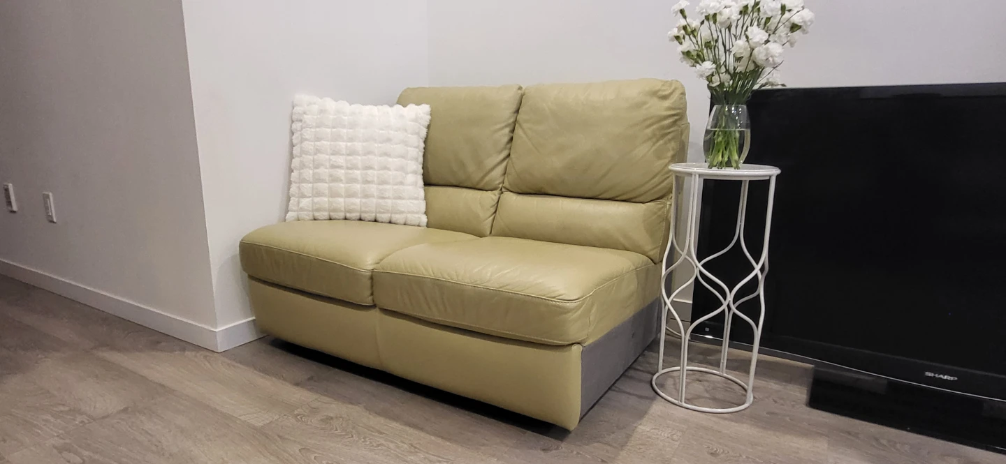 Natuzzi Genuine Leather 2-Seater Modular Sofa – $150