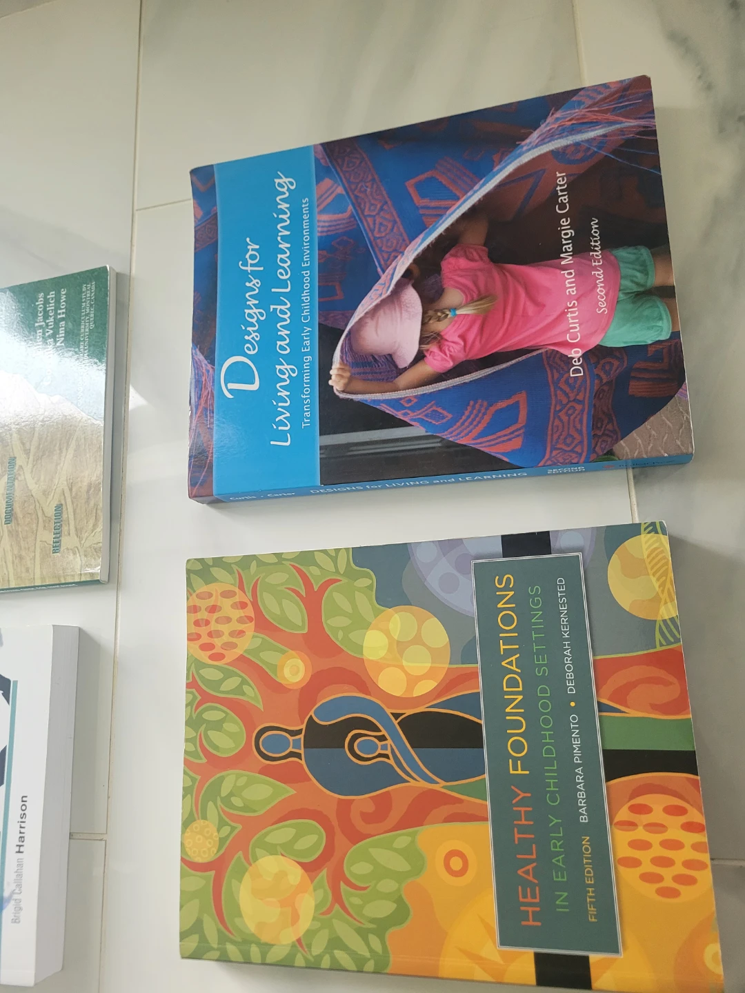 ECE essential books (9 ) - photo 5
