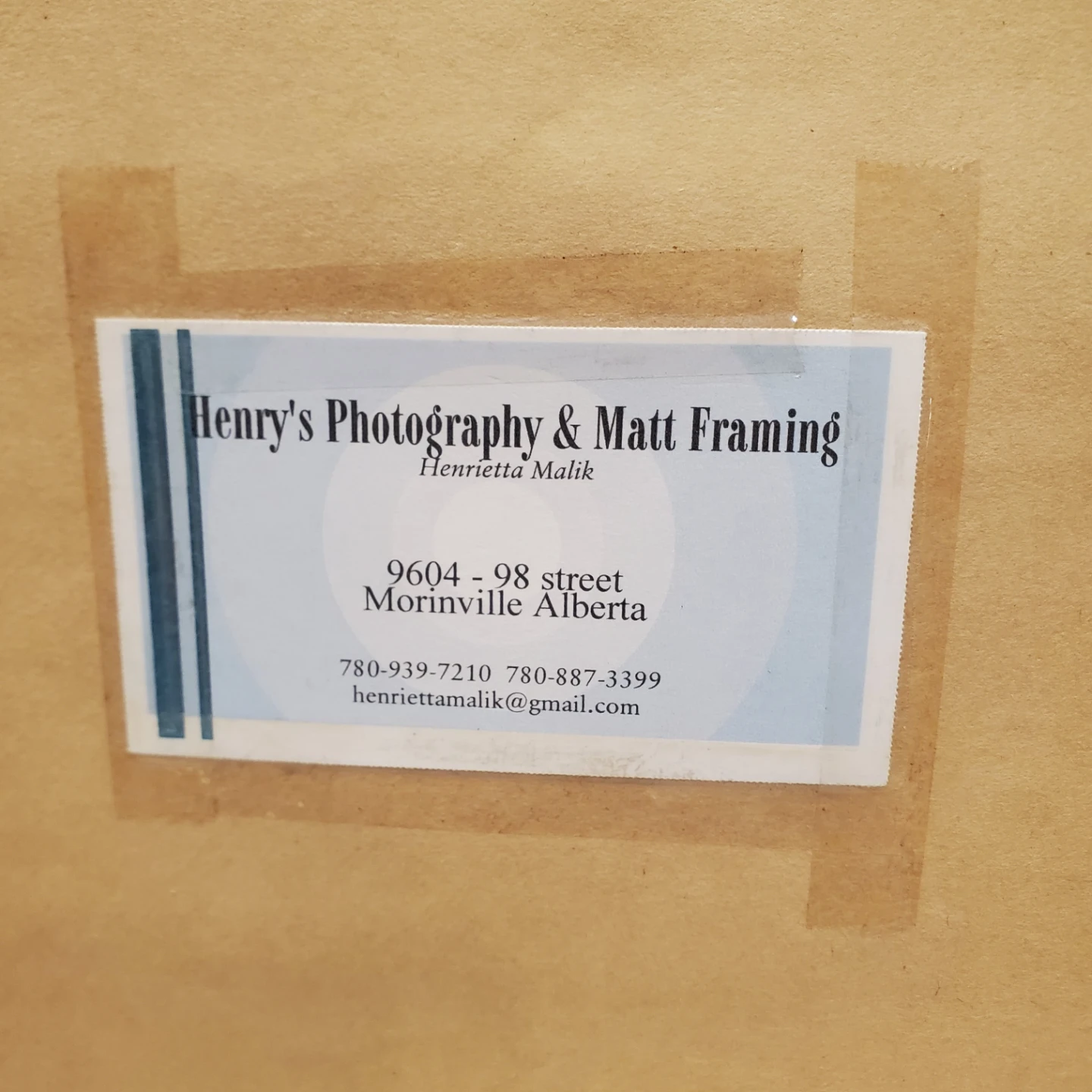 Framed Print of Himalaya balsam flower - photo 5