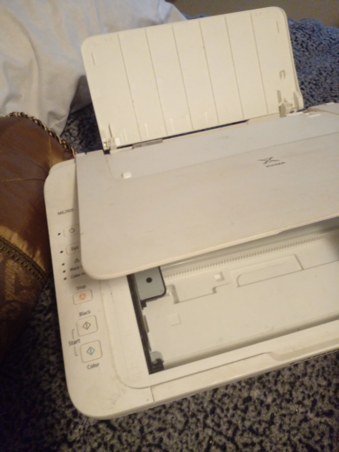 Canon PIXMA MG2920 Printer - photo 2