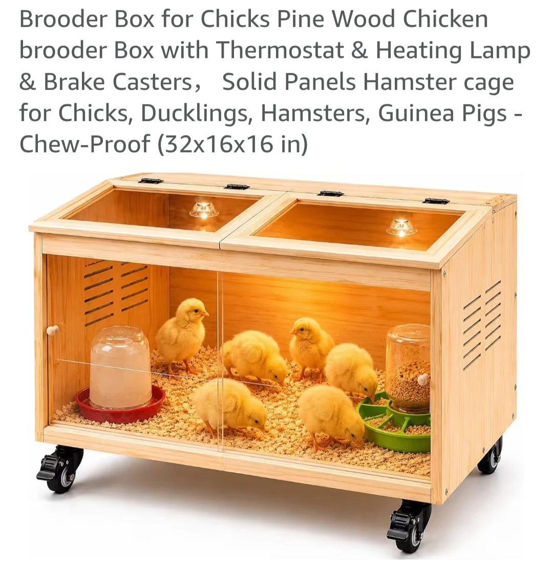 Brooder Box for Chicks with Heating Lamp
