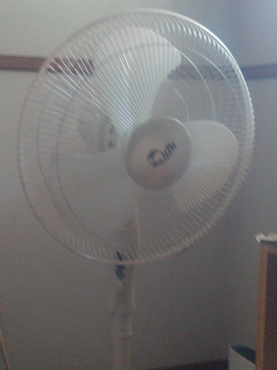 Danby White Pedestal Fan