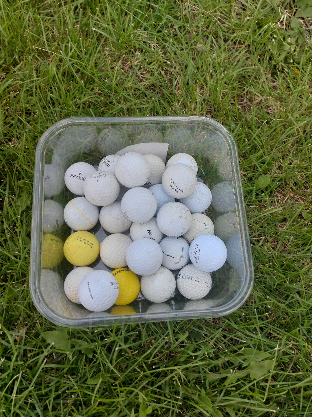 Mixed Golf Balls - Top Flite, Callaway