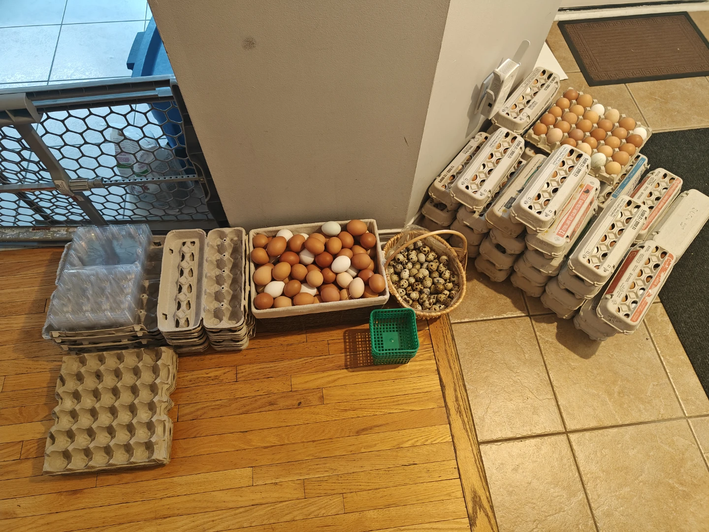 Farm fresh organic eggs and products