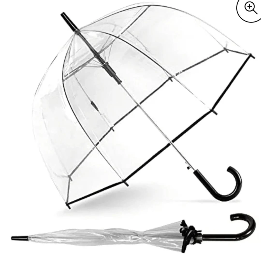 Clear Dome Umbrella with Black Handle