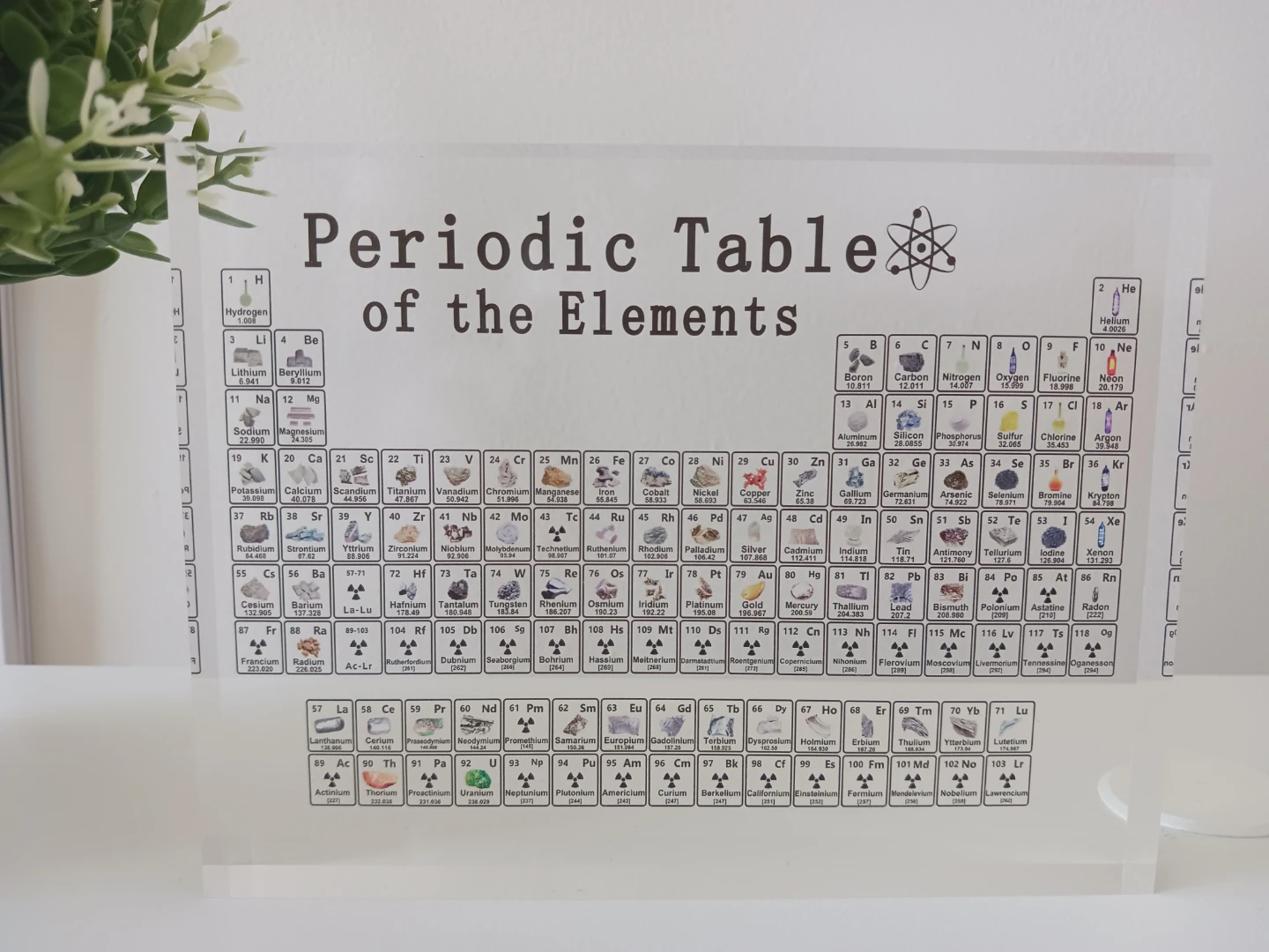 Periodic Table of the Elements Display - photo 2