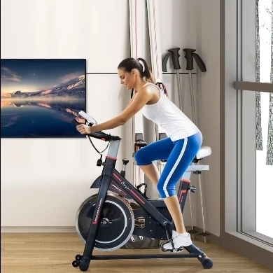 Spin Bike Exercise Cycle