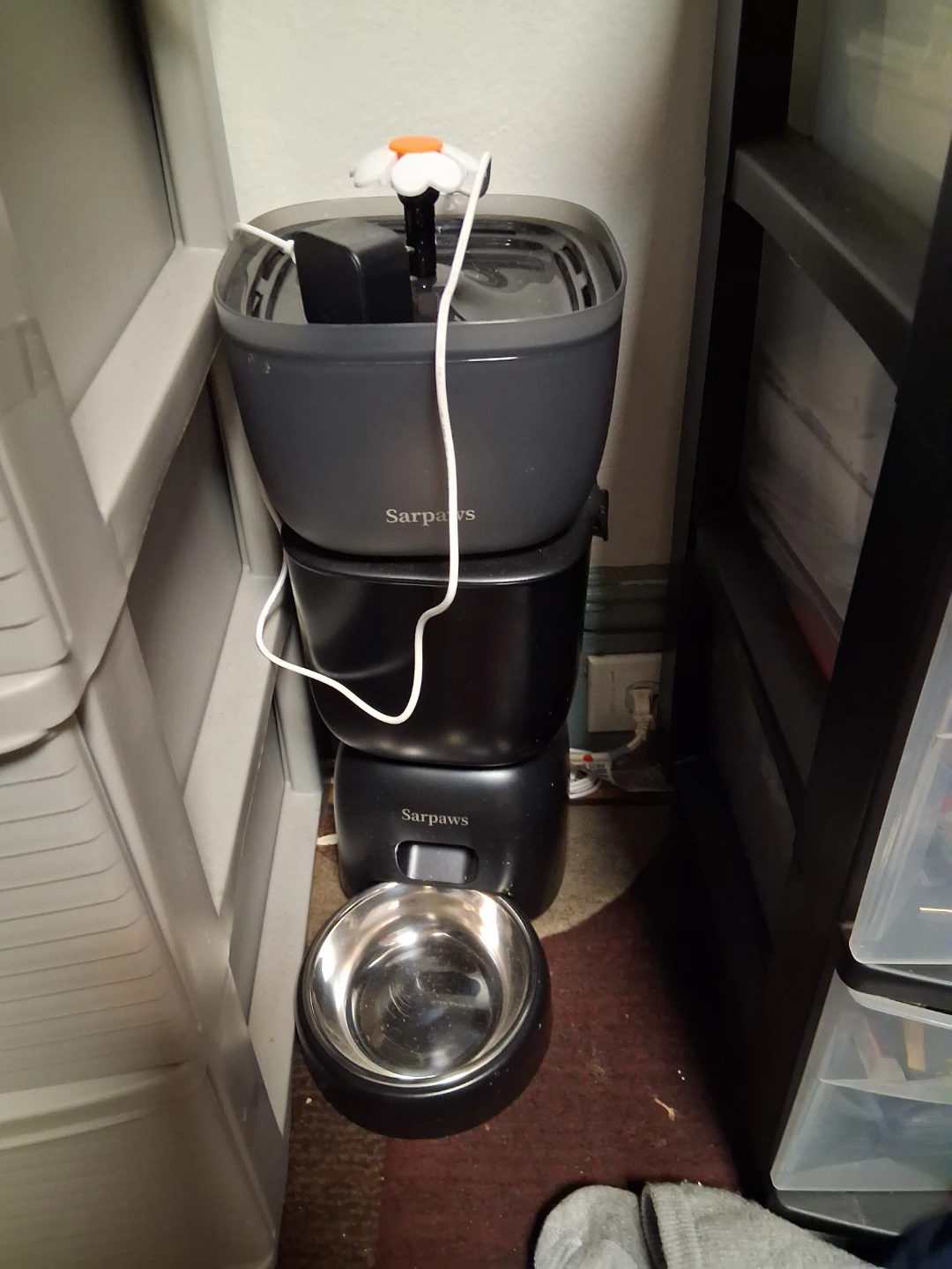 Electric water and food dispenser