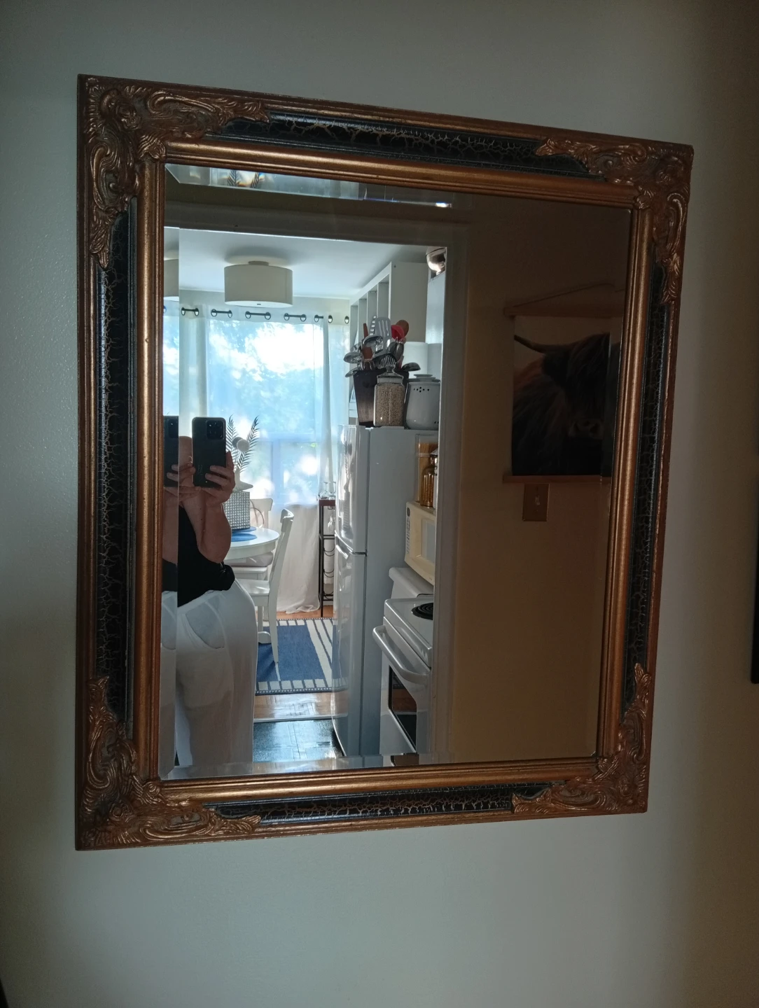 Ornate Gold and Black Framed Mirror