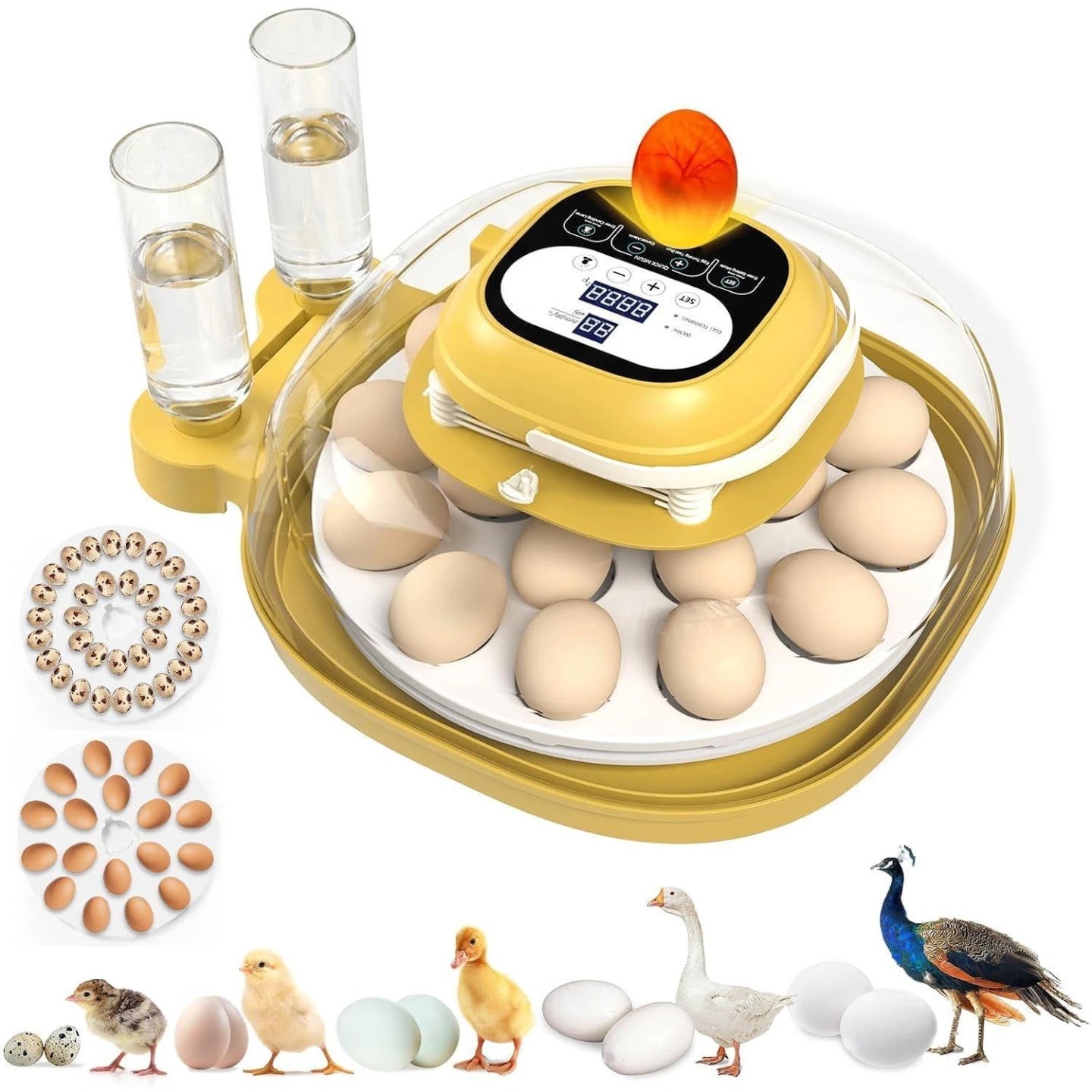 Yellow Automatic Egg Incubator