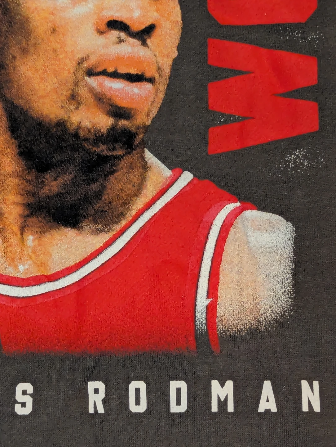 RARE: NEW LARGE Dennis Rodman THE WORM Hoodie by Rodman & Co - photo 4