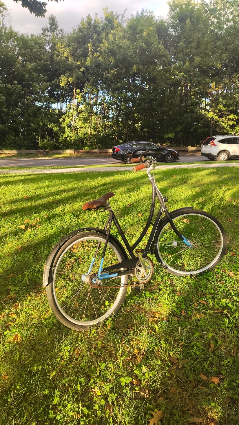 Black Cruiser Bicycle - photo 2