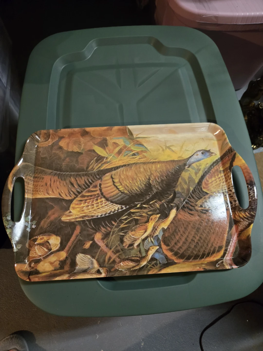 Ashland Melamine Tray/String light Owls