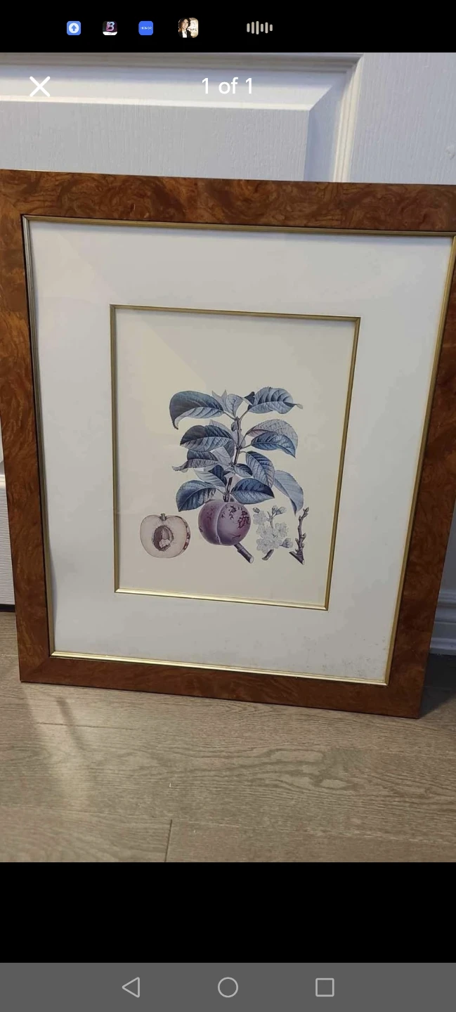 Frame of fruits