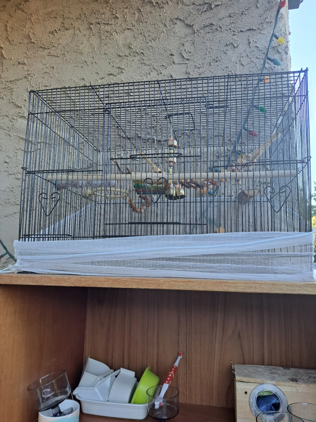 bird cage with perches and toys