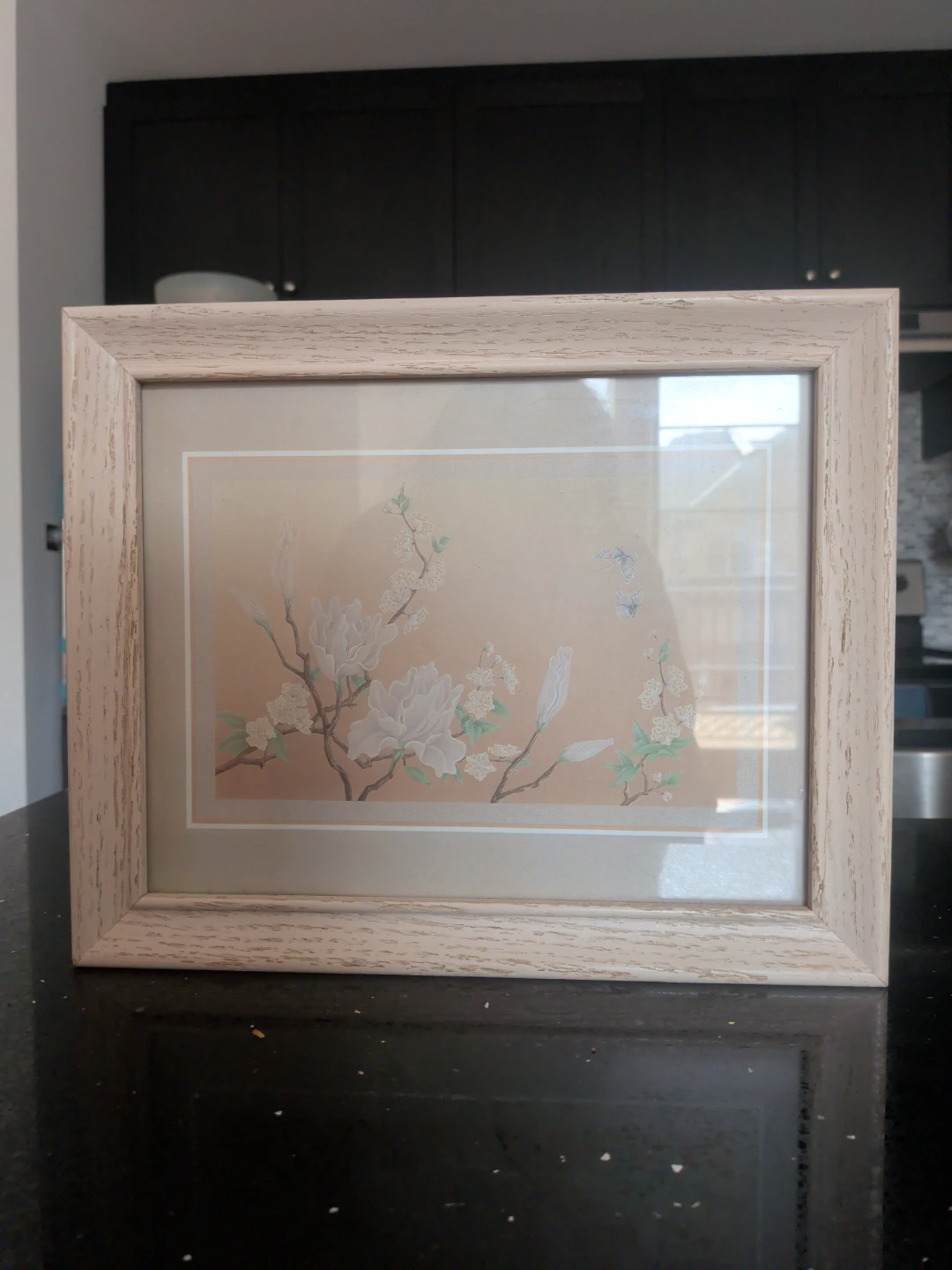 Can-Am Framed Wall Decor