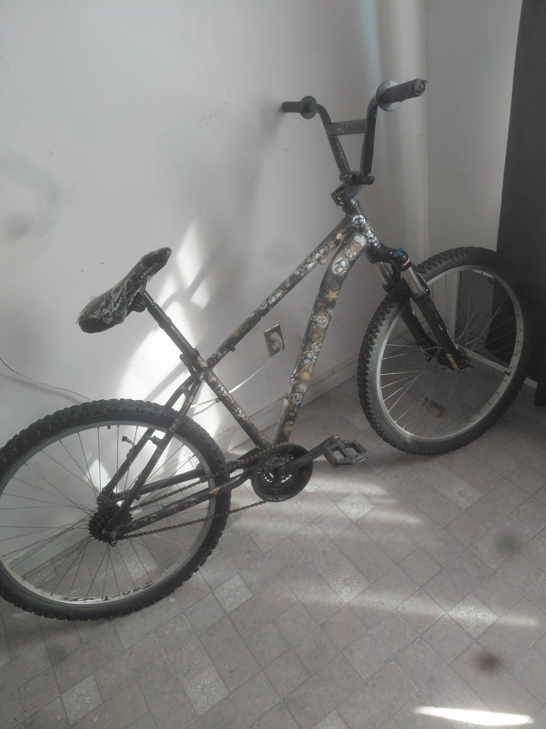 Custom BMX Bike