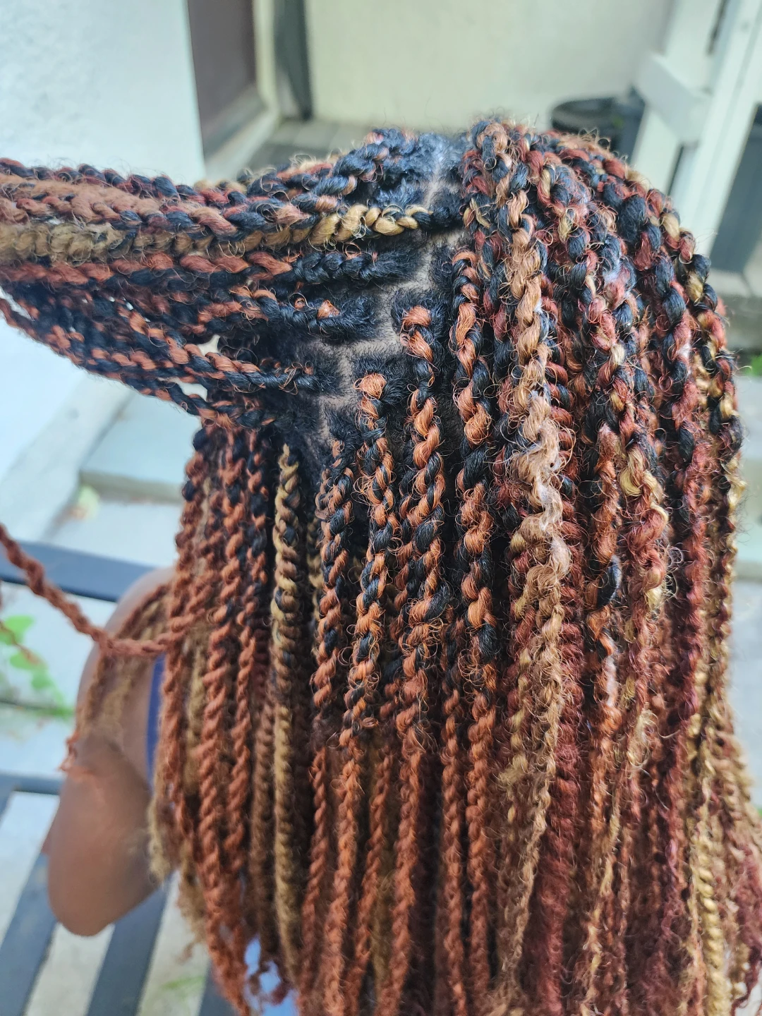 Twisted Braids