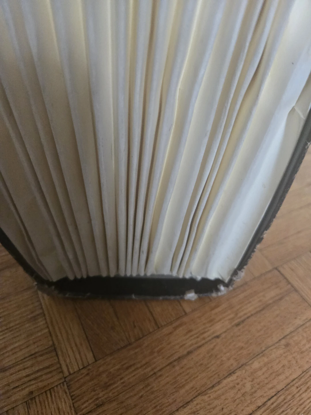 Expandable File Folder Case (used but decent state) - photo 3