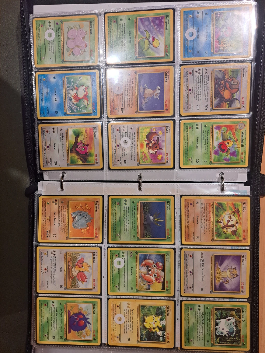 Pokémon Trading Card Binder Collection