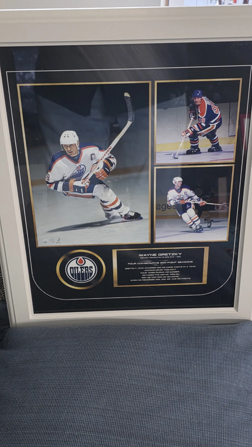 Wayne Gretzky Edmonton Oilers Framed Photo Collage