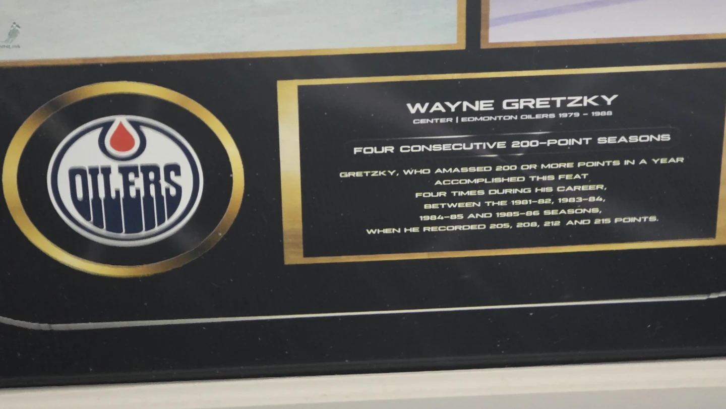 Wayne Gretzky Edmonton Oilers Framed Photo Collage - photo 2