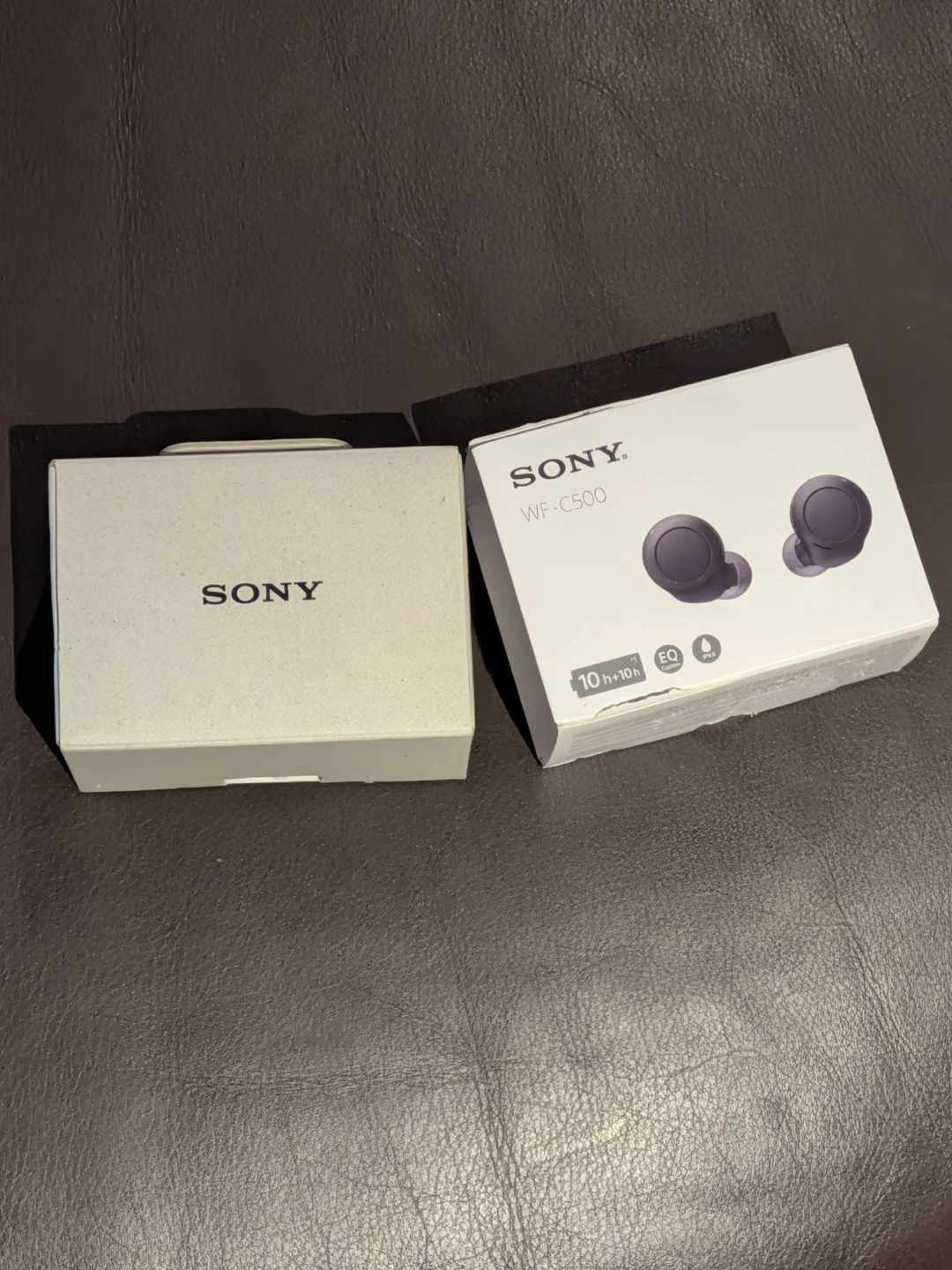 Sony WF-C500 True Wireless Earbuds