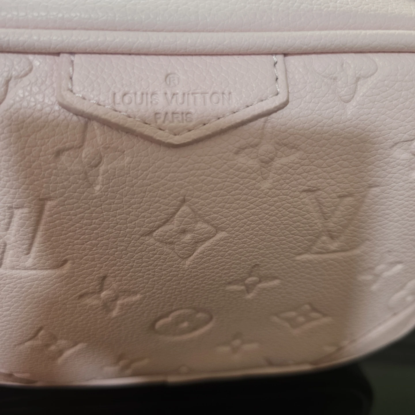 Louis Vuitton Pink Monogram Camera Bag - photo 2