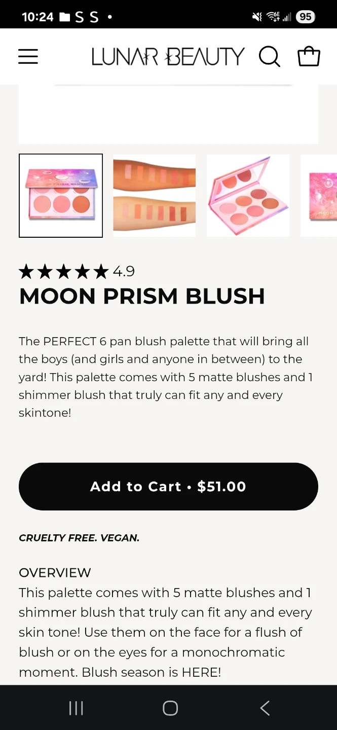 Blush palette - photo 3