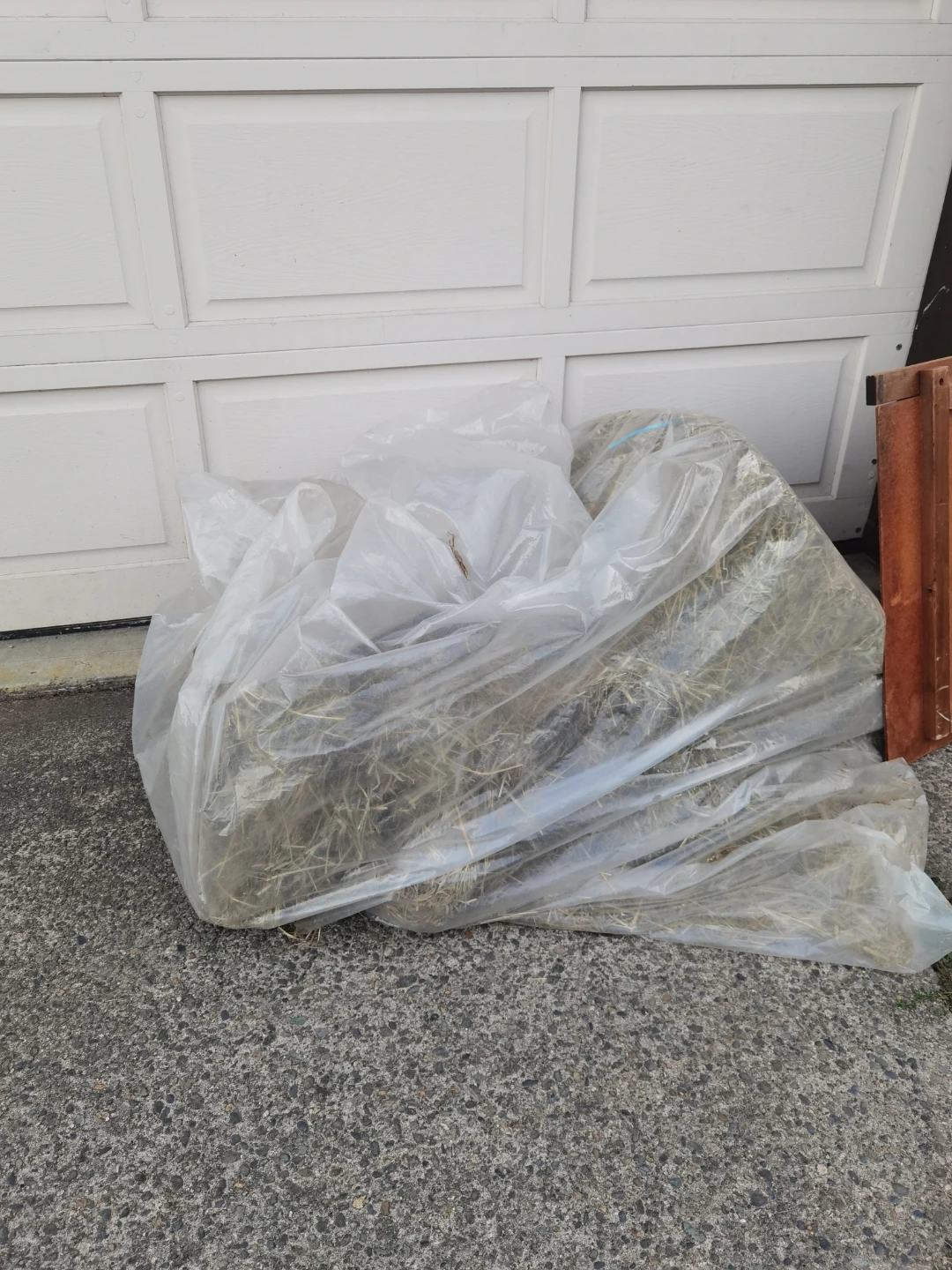 Part of a bail of hay