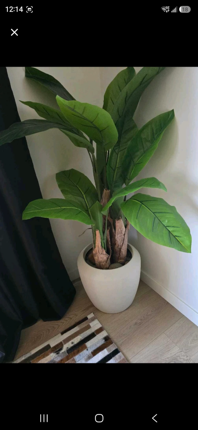 Large Artificial Bird of Paradise Plant in White Pot