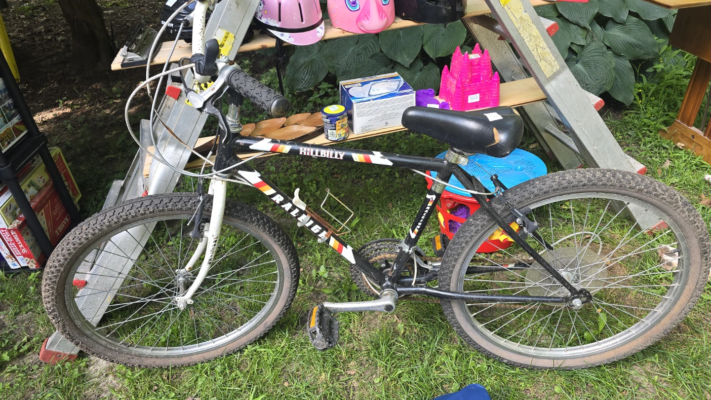 Raleigh Hillbilly Mountain Bike