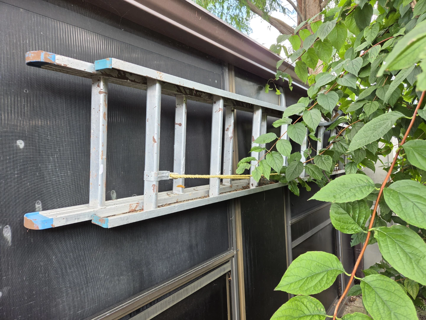 Keller 20ft Aluminum Extension Ladder - photo 2