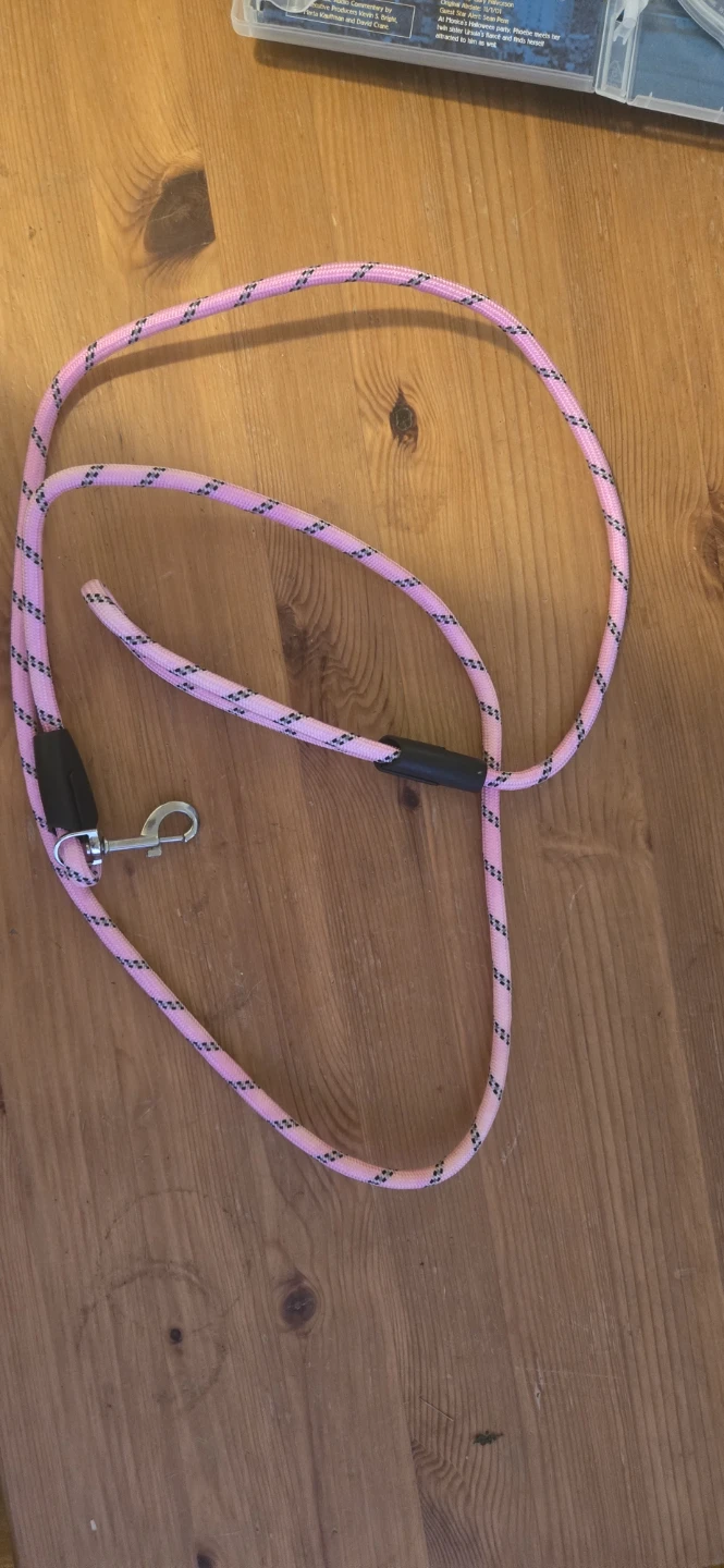 Pink Rope Dog Leash